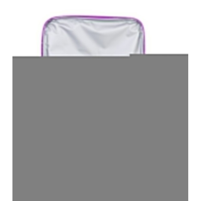 RECTANGULAR INSULATED BAG MINNIE BOLD FLORALS