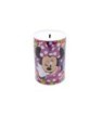 METALLIC MONEY BANK MINNIE BOLD FLORALS