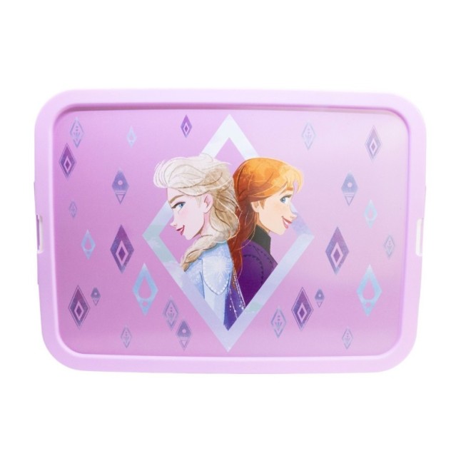 STORAGE CLICK BOX 23 L FROZEN ELEMENTS