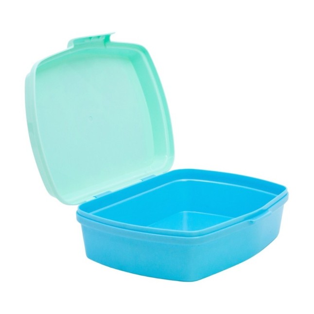 FUNNY SANDWICH BOX CAPIBARA