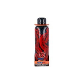 INSULATED STAINLESS STEEL BOTTLE 515 ML DRAGON BALL