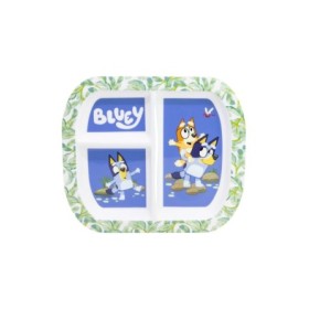 RECTANGULAR DIVIDED PLATE ST BLUEY