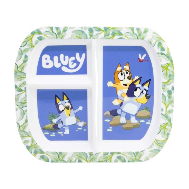 RECTANGULAR DIVIDED PLATE ST BLUEY