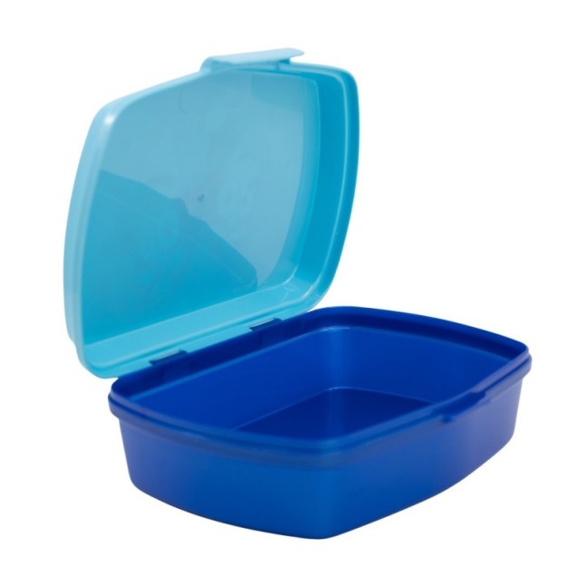 FUNNY SANDWICH BOX BLUEY