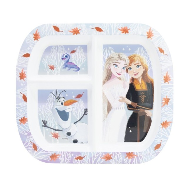 RECTANGULAR DIVIDED PLATE ST FROZEN AUTUM LEAVES