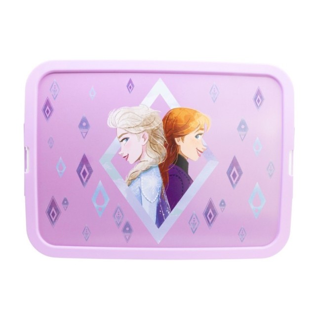 STORAGE CLICK BOX 13 L FROZEN ELEMENTS