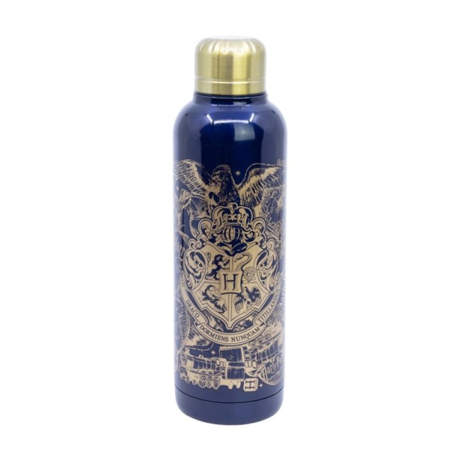 INSULATED STAINLESS STEEL BOTTLE 515 ML HARRY POTTER MAGIC & MAYHEM