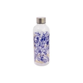HYDRO BOTTLE 850 ML HARRY POTTER MAGIC & MAYHEM