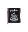 INSULATED FRIENDLY DRAWSTRING BAG HARRY POTTER