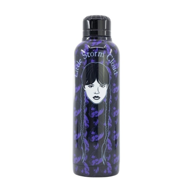 INSULATED STAINLESS STEEL BOTTLE 515 ML WEDNESDAY