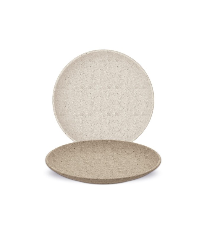 DINNER PLATE TERRA