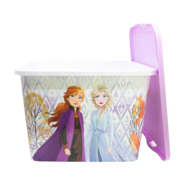 STORAGE CLICK BOX 23 L FROZEN ELEMENTS
