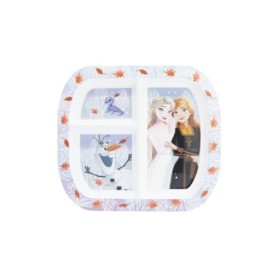 RECTANGULAR DIVIDED PLATE ST FROZEN AUTUM LEAVES
